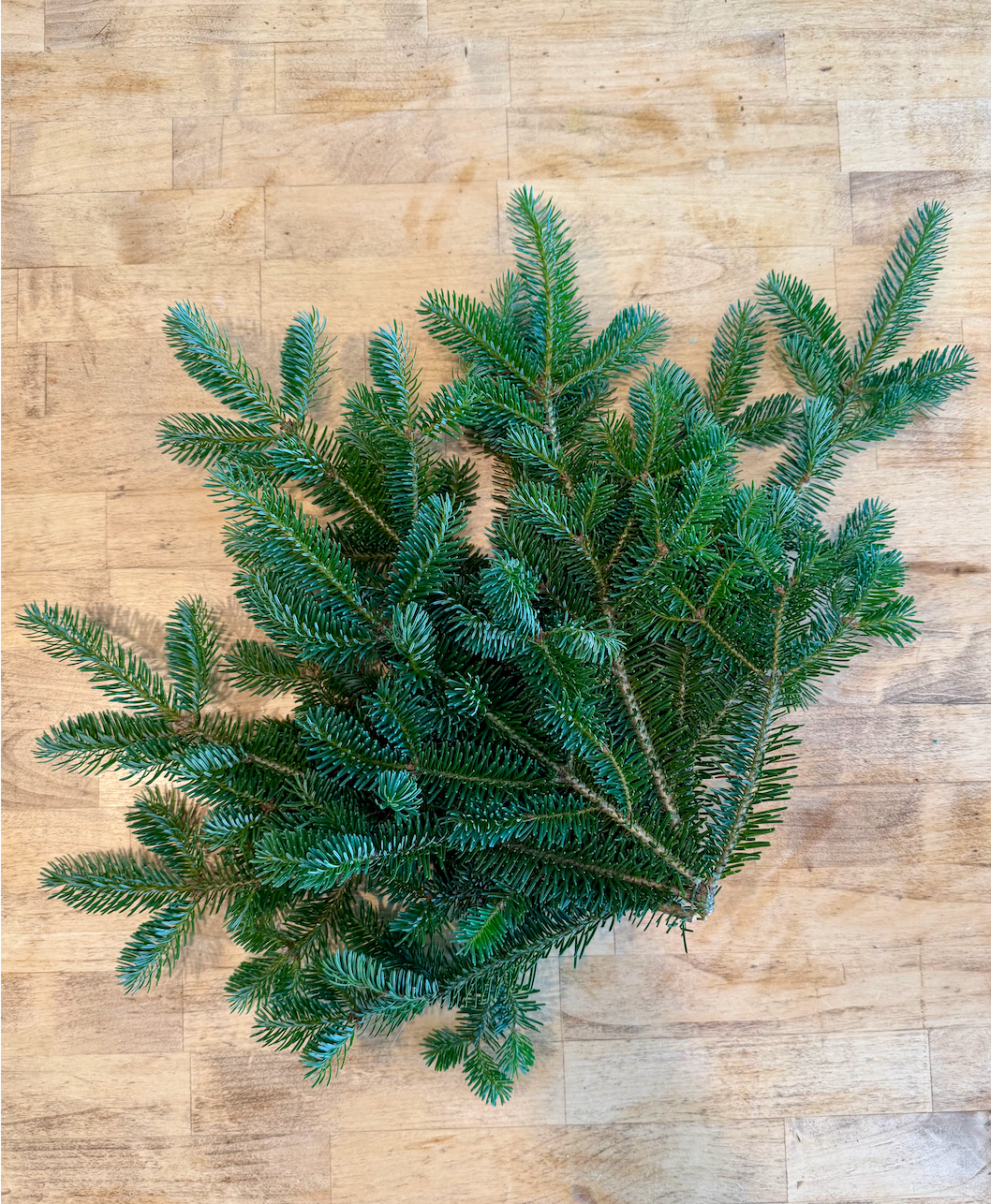 Balsam Fir Tips